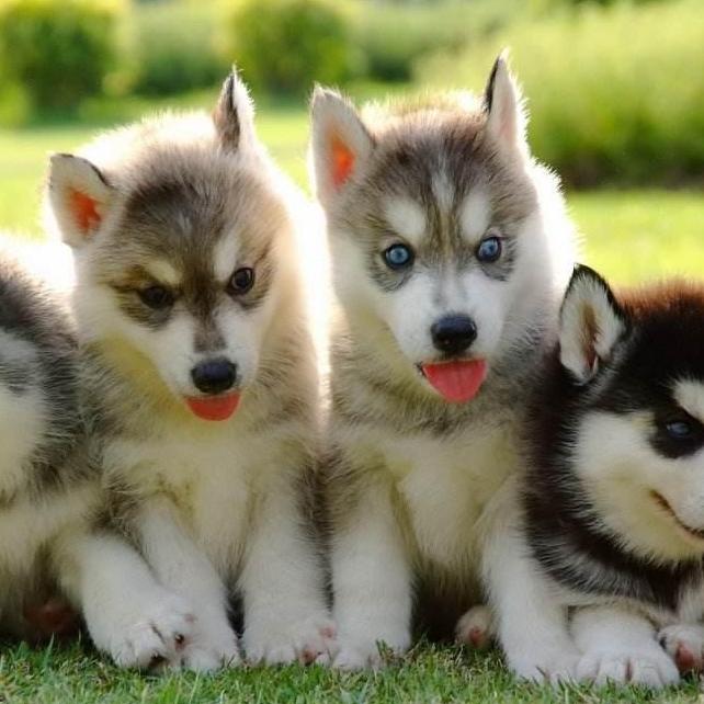 Natasha827 Natasha827