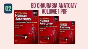 BD Chaurasia Anatomy Volume 1 PDF